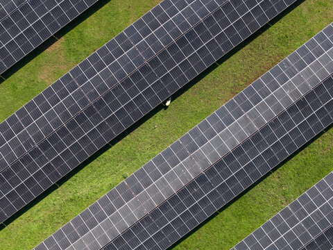 Aerial view of solar panels arranged in long parallel rows across a green grassy field in The Basin, Victoria, Australia.