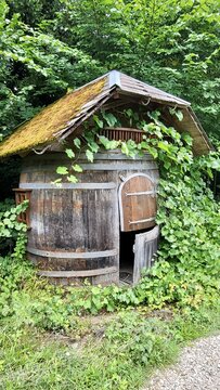 Small rustic wooden hut designed in the shape of a wine barrel, surrounded by lush green vegetation in the Swiss countryside. The unusual wooden structure and natural setting create a charming and aut