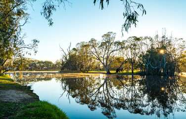 Golden sunrise light filtering through trees and reflecting on a calm lake at Weir Park, Victoria, Australia