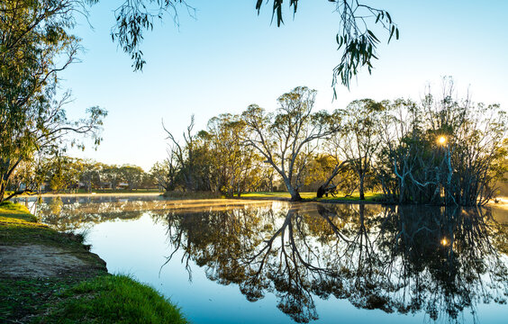 Golden sunrise light filtering through trees and reflecting on a calm lake at Weir Park, Victoria, Australia