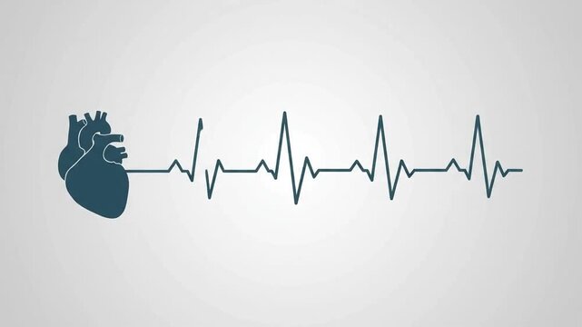 Clean anatomical human heart icon with electrocardiogram EKG heartbeat line vector illustration