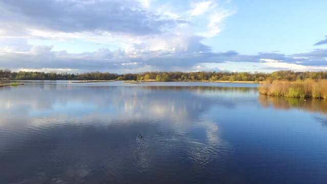 Aerial view of Fleet Pond Nature Reserve with calm water reflecting the sky and trees along the shore, Fleet, England, United Kingdom.