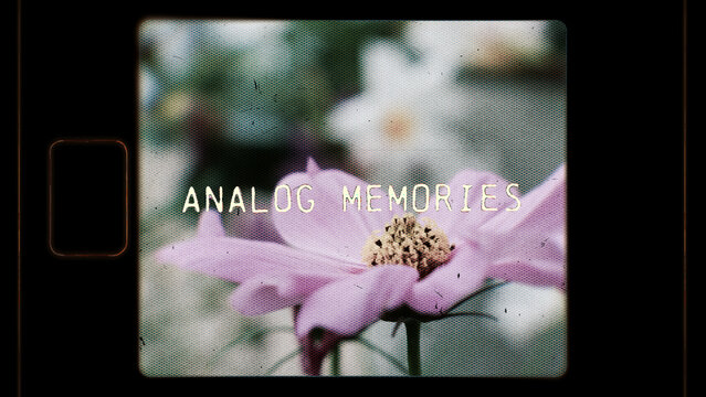 Analog Memories