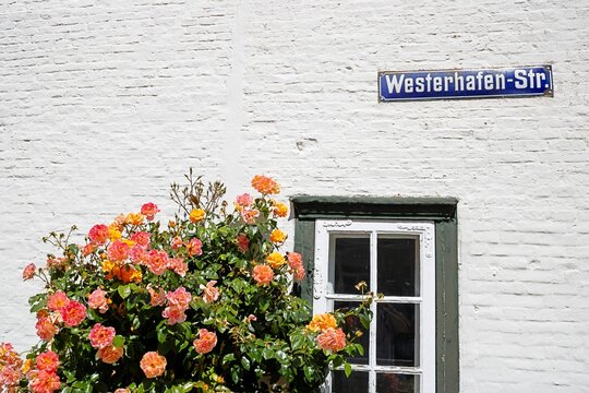 friedrichstadt, deutschland - pittoreskes fenster mit rosen und stra&szlig;enschild