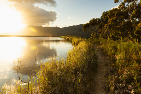 nature trail and placid pond at sunset, beautiful sunset cloud above, Stanford, South Africa