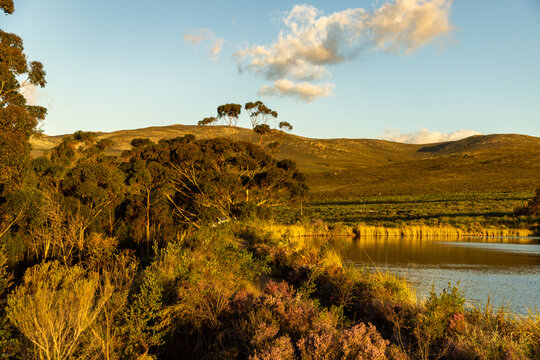 pond and nature trail, Stanford, South Africa at sunset