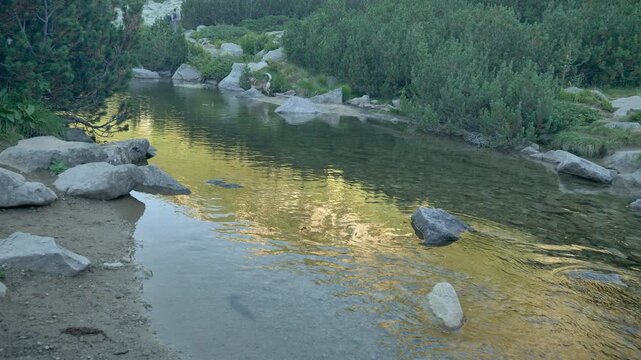 Dog Crossing Mountain River Past Remote Hikers Walking Away. Real time motorized camera tracking along swift shaded creek. Pet dog crossing rapid water current while unrecognizable group of tourists 