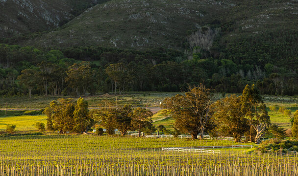 farm land , valley and Klein Mountains, Stanford, South Africa at sunset