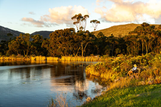 water lilies, placid, serene, tranquil, pond, water, reflection, sunset clouds, klein mountains, stanford, south africa, wild places, sunrays, placid pond, beauty, lake, landscape, sky, sunset, nature