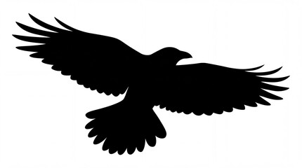 Fototapeta premium Black silhouette of a large raven flying with spread wings