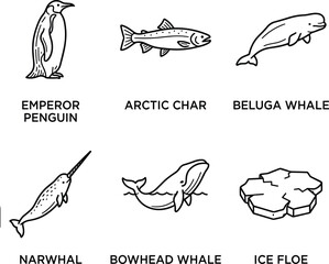 Arctic fauna wildlife line vector icons featuring emperor penguin beluga whale narwhal bowhead whale char and ice floe © MISSMASUMA