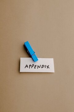 A small white paper label with the word appendix written in black ink, secured by a bright blue wooden clothespin against a neutral background