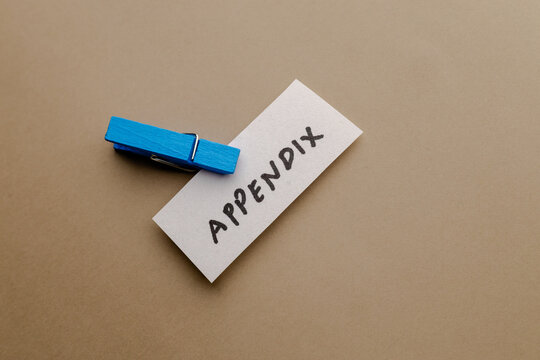 Appendix word written on white paper note held by vibrant blue wooden peg clip against plain beige background minimal top view office