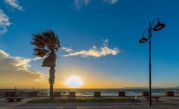 Palm tree and street lamp at sunset with Capo Caccia in Alghero
