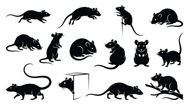 A comprehensive halloween vector bundle featuring various black rat silhouettes in different poses perfect for spooky holiday design and decorations