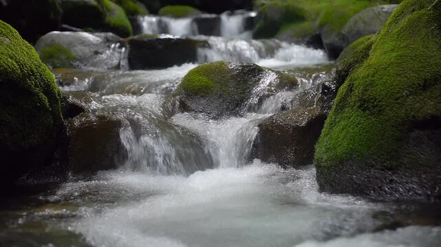 Serene woodland stream cascades over moss-covered rocks, creating tranquil ripples and a sense of peaceful natural beauty within a lush forest setting