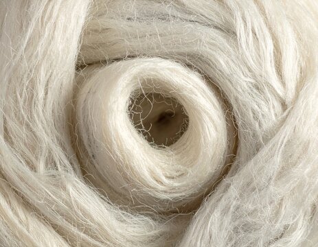 Natural undyed wool fibres in soft curls, warm texture background with copy space