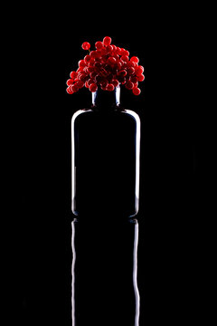 Still life with glass objects and red viburnum berries on a black background
