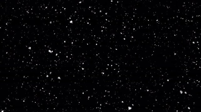 Snow overlay. 60fps winter animation with isolated snow, seamless snowing loop. Transparent background, ProRes with alpha channel.
