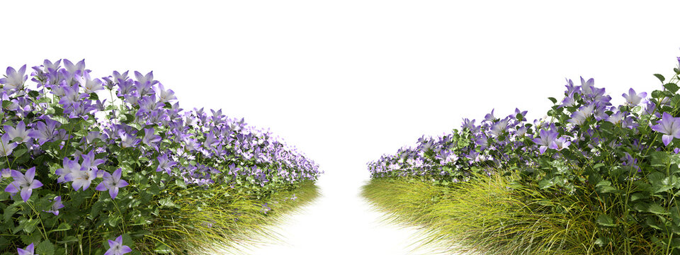 Full flowery line side way on transparent backgrounds 3d render png file