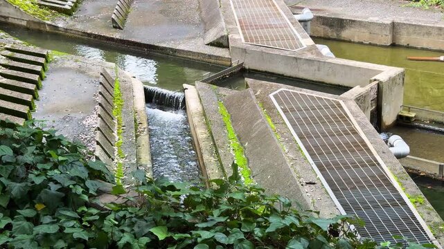 Urban Water Channel and Small Cascade in Otonashi Shinsui Park, Tokyo