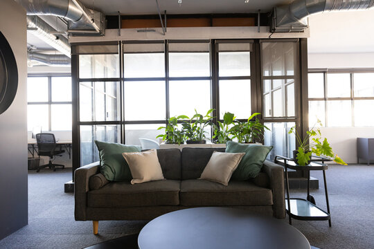 Dark gray three-seat sofa is sitting centered in office lounge with green and beige pillows