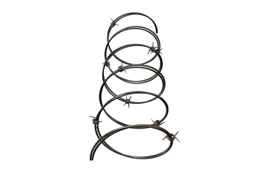 Coiled barbed wire wrapped around a dark vertical wooden post