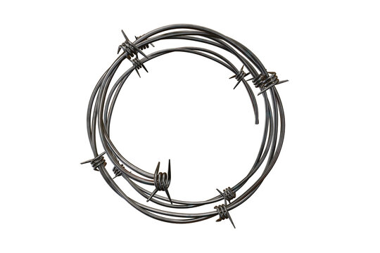 Coiled length of sharp, metallic barbed wire on a dark background