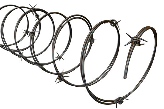 Coiled strands of dark metallic barbed wire on a black background