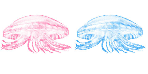 Halftone jellyfish duo in retro stippled grunge style with dotted transparent design © Business Image