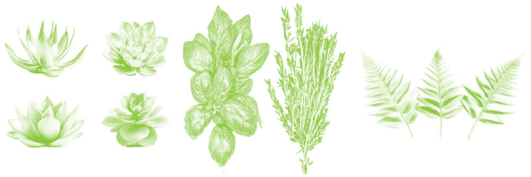 Halftone stipple dotted retro grunge transparent greenery succulents and leaves collection