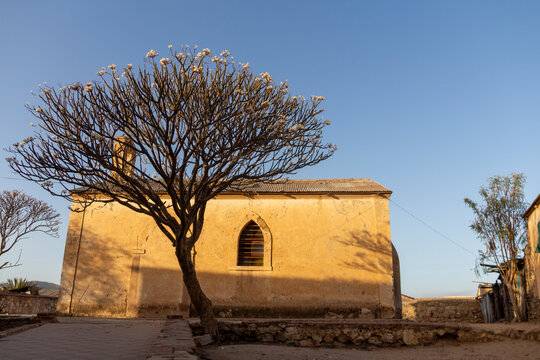 A blossoming tree stands beside an old church with an arched window under a clear blue sky, Semien-Keih-Bahri, Keren, Eritrea