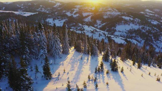 An extraordinary valley with hills and mountains covered with fir forests against the backdrop of a bright fiery sunset