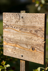Obraz premium Blank wooden sign for custom message, rustic garden signage and information board for outdoor park navigation or nature trail direction and announcement