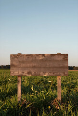 Obraz premium Advertising space and marketing mockup, empty wooden sign in a rural field for outdoor branding and communication strategy with copy space at sunset