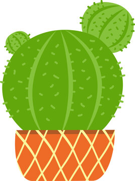 cactus illustration isolated green plant in pot