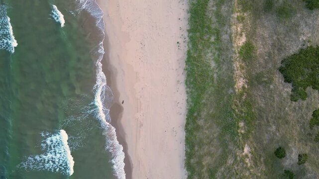 Top Down Aerial View of Ocean Waves Sandy Beach and Dunes