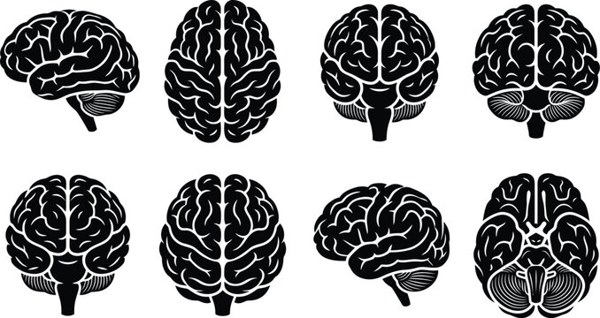 Set of human brain anatomy icon vector illustrations featuring a black silhouette isolated on transparent background silhouette