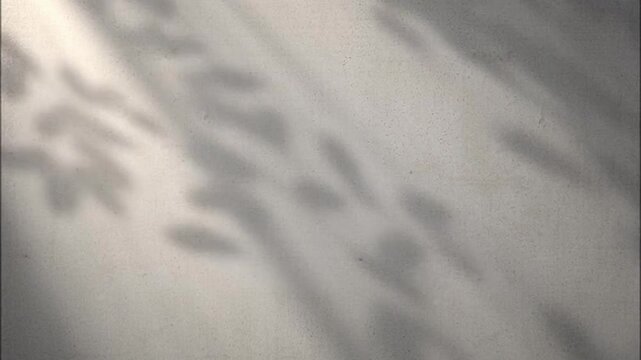 Soft moving leaf shadows cross a raw concrete wall in a calm natural tactile background with copy space.