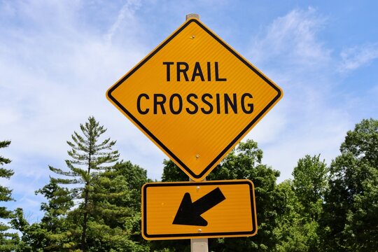 A close view of the yellow road signs.