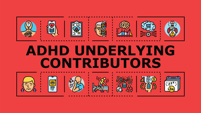 Adhd underlying contributors banner infographic. Attention environment, trauma impulsivity, development maturation icon vector illustration
