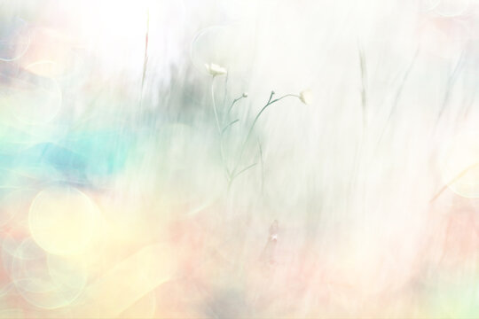 Multicolored bokeh against a natural background, field grass in nature, delicate soft color