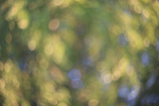 Green summer bokeh, blurred photo background, nature, summer soft color