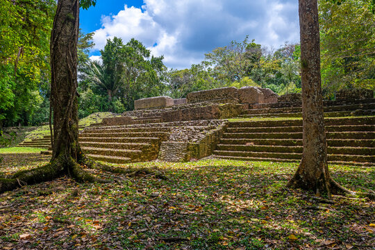 Mayan temple in the rainforest, Caracol, Belize.