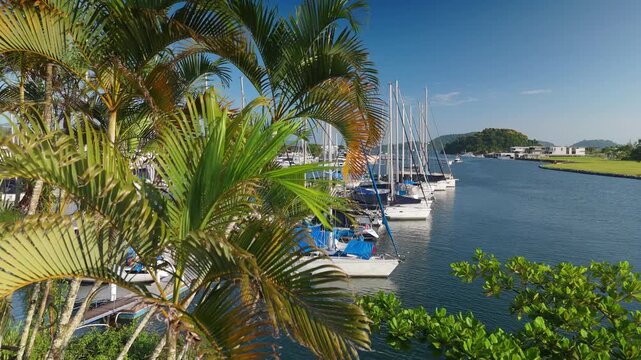 Green, cozy and luxury garden of the Marina Bracuhy near the town of Angra dos Reis in Brazil
