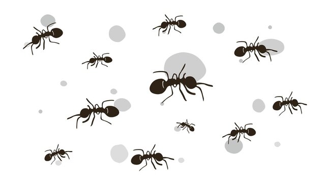 template of  ant  scattered on a white wall with flat clean shape design