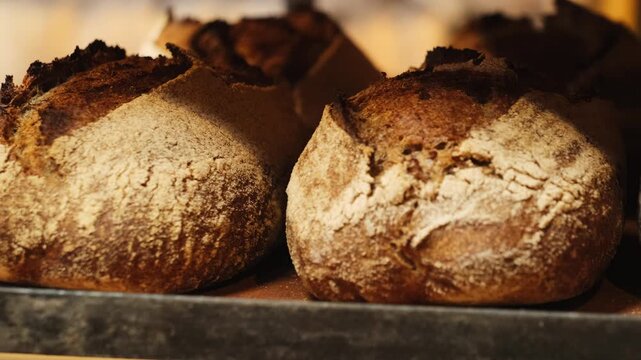 Freshly prepared loaves of bread rest on wooden shelf cooling after hot oven. Warm fragrant bread loaves lie neatly across wooden rack