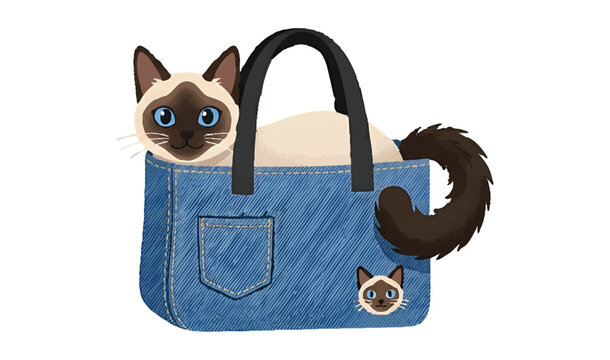Cute Siamese cat with blue eyes sitting inside a blue denim tote bag with a pocket and cat patch