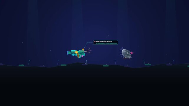 Educational animation of a peacock mantis shrimp executing a powerful cavitation strike to break a bivalve shell, illustrating biomechanics, hydrodynamic void, and sonoluminescence detonation