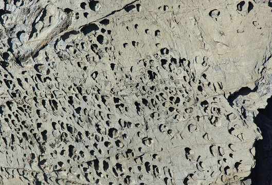 Eroded Rock Surface with Natural Cavities and Weathered Texture